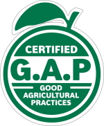 GLOBAL GAP