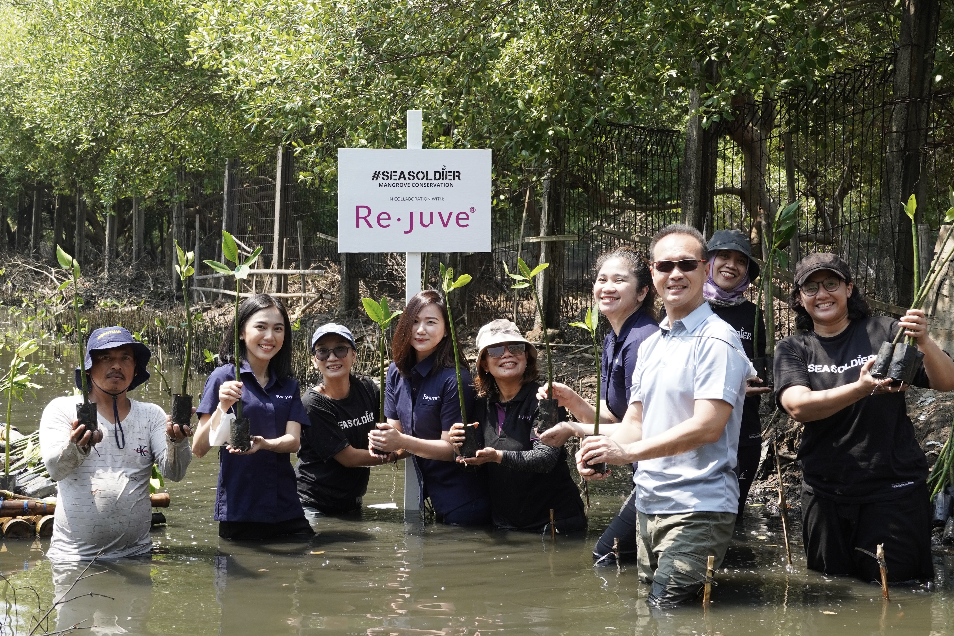 Re.juve Plants 2,500 Mangrove Seedlings with Seasoldier