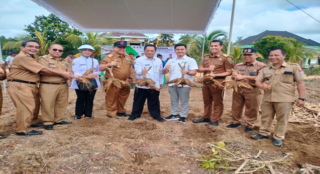 PT UJA First Harvest Cassava Partnership CSV Program with the Indonesian Ministry of Villages PDTT in Mesuji Regency
