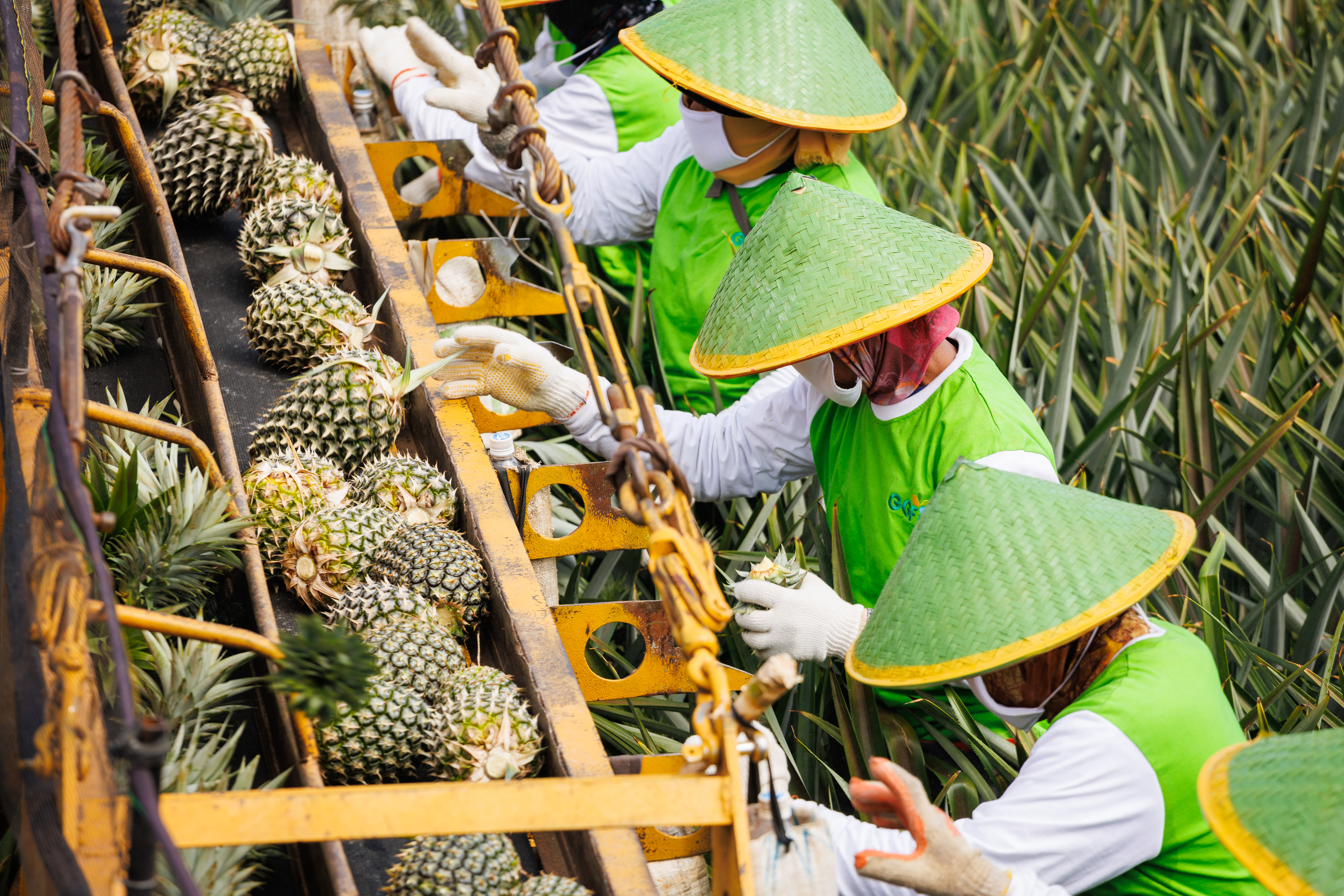 PT GGP Successfully Achieves First ESG Rating Score in Indonesia