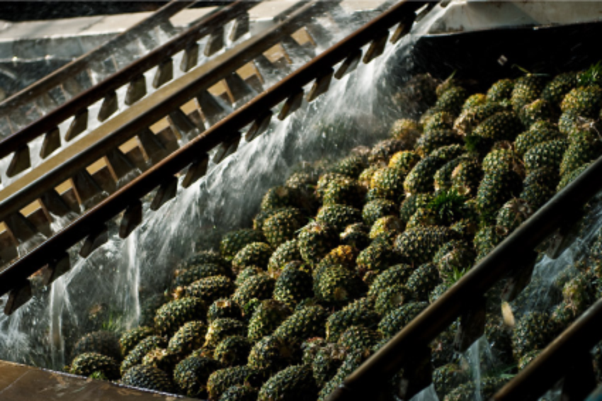 Sustainable Raw Materials