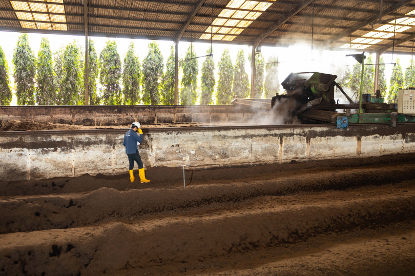 Waste and Pollutants